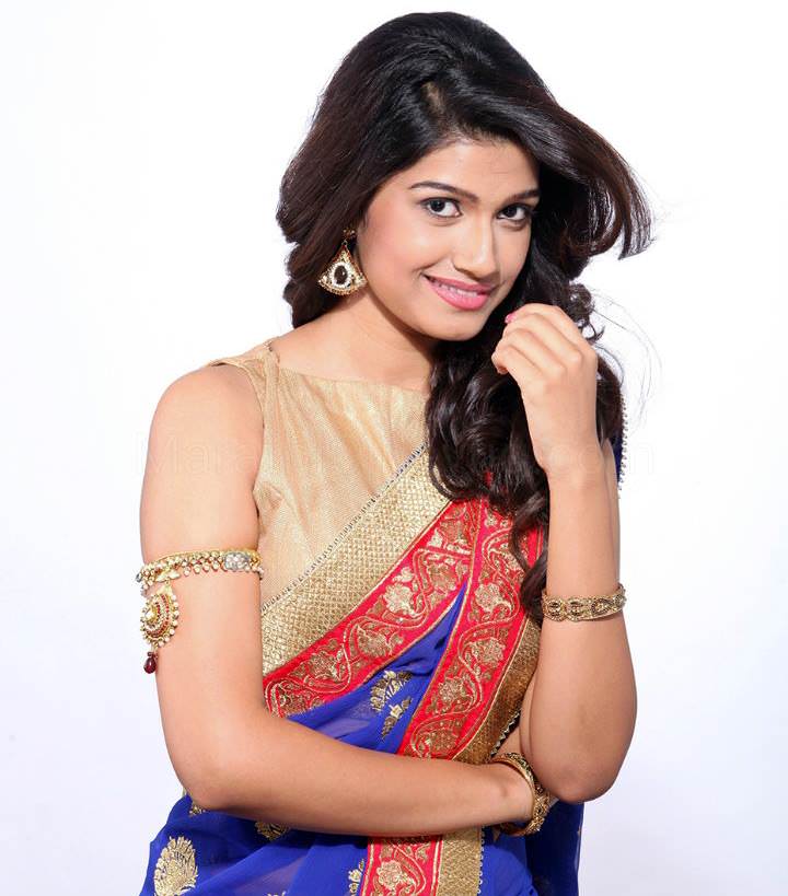 Rasika Sunil Saree Photos