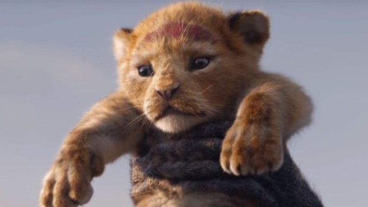 The Lion King