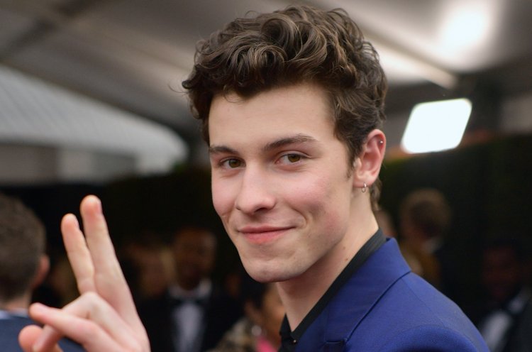 Shawn Mendes 2019 Grammys Red Carpet Billboard 154