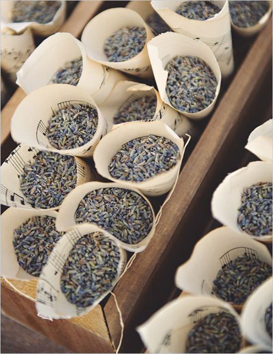 De8980fea3aadec51e6ab68866e30d6b