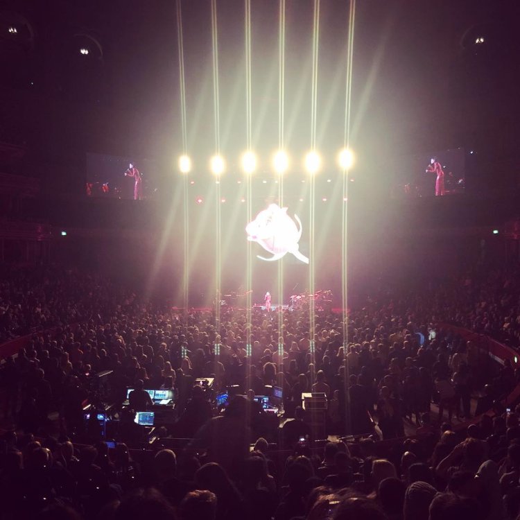 44000089 534813176930816 8861517881890239891 N