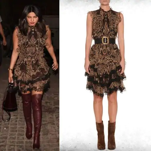 Priyanka Chopra Outfit Dress Price