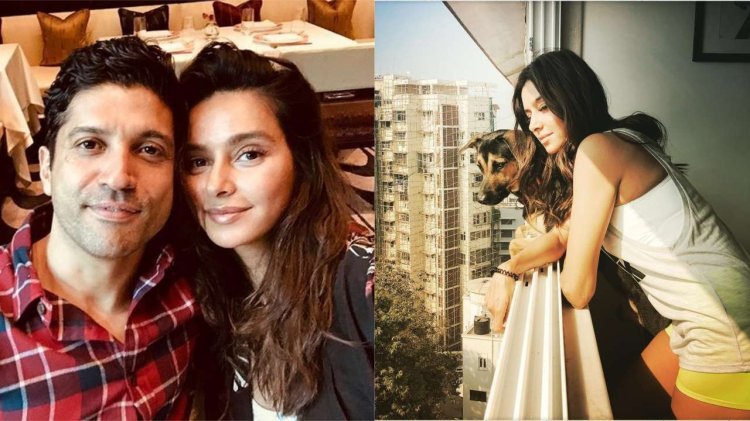 774759 000 Farhan Shibani