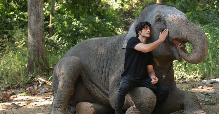 116148 Vtbdnjsvuc 1553700352