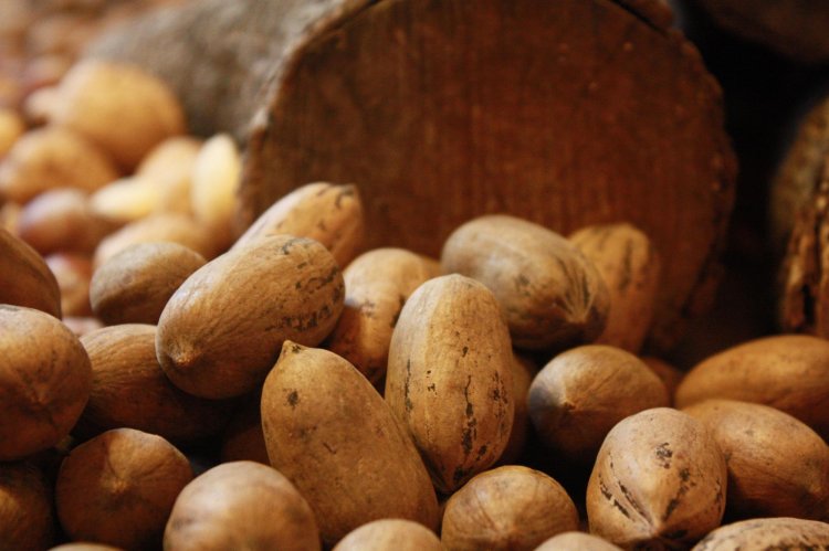 Testosterone-boosting food: Brazil nuts