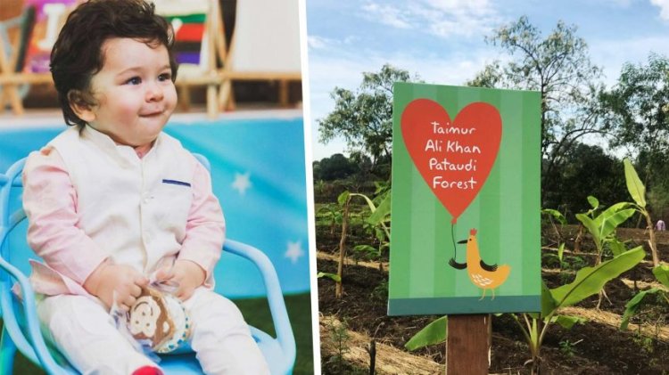 Taimur Ali Khan Kareena Kapoor Khan Forest