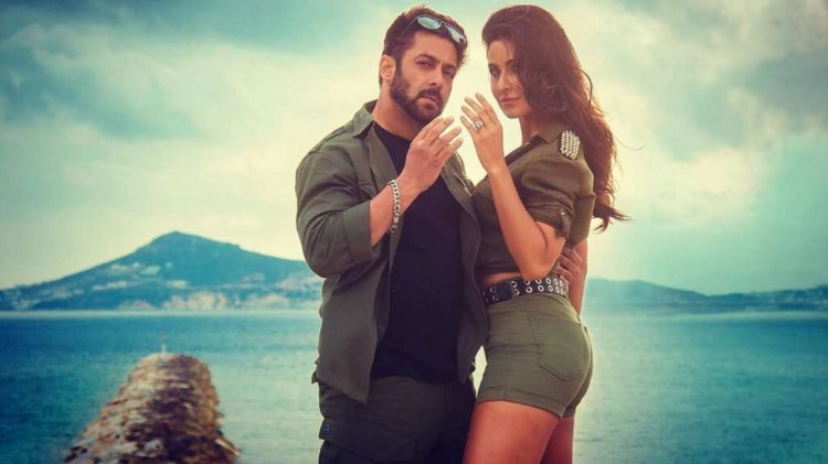 Salmankhan Katrinakaif 1 Dna India