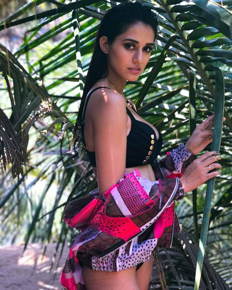 12disha Patani Is The Bikini Diva All Girls Aspire