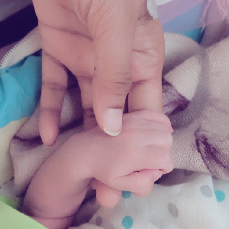 60516562 168453184173413 2580376646586669687 N