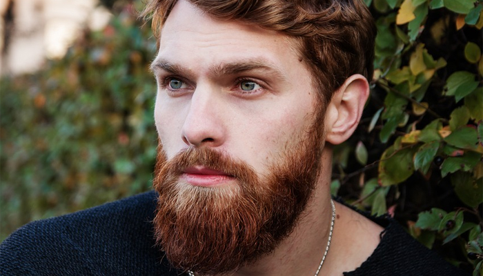 Top 5 Affordable Beard Oils For Mens
