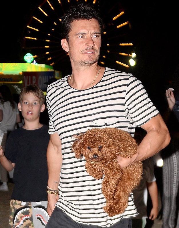 Orlando Bloom Kept His Dogs Skelaton At Home2