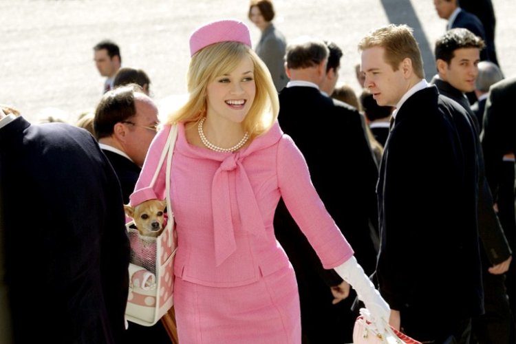 Reese Witherspoon Legally Blonde 6