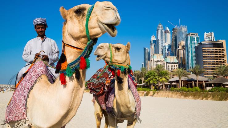 scorpio zodiac sign to Dubai