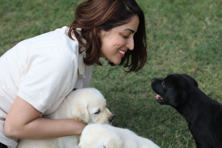 Top 50 Most Desirable Women Yami