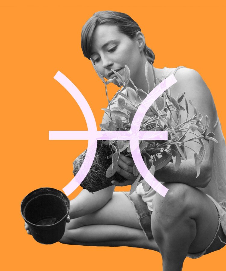 pisces zodiac sign side hustle