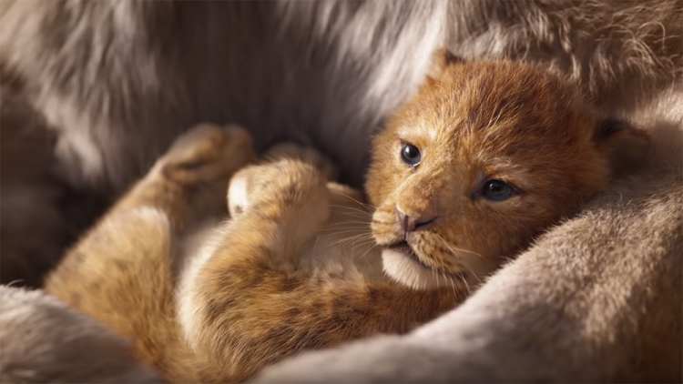 Simba