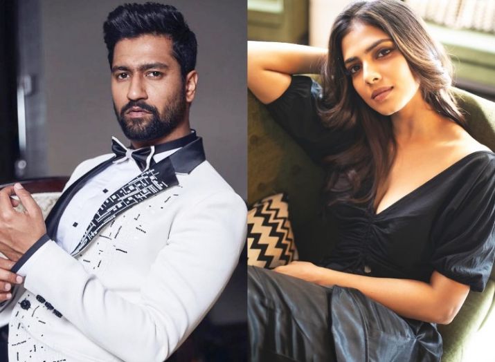 vicky kaushal Malavika Mohanan