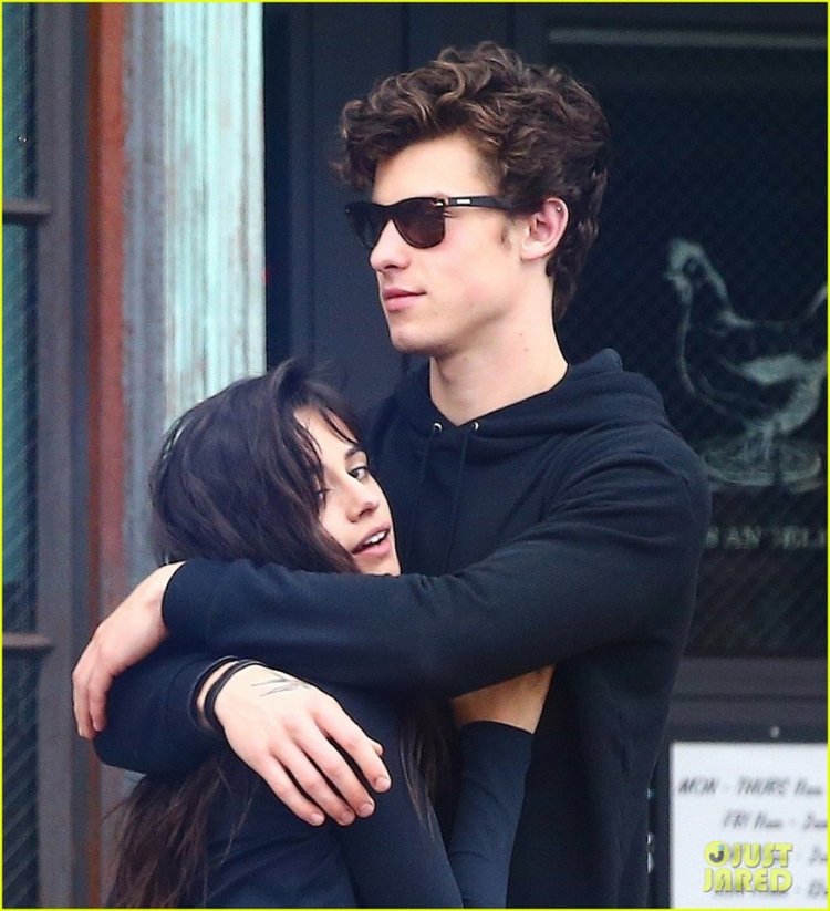 Shawn Mendes and Camila no longer shying away they are deeply in love ...