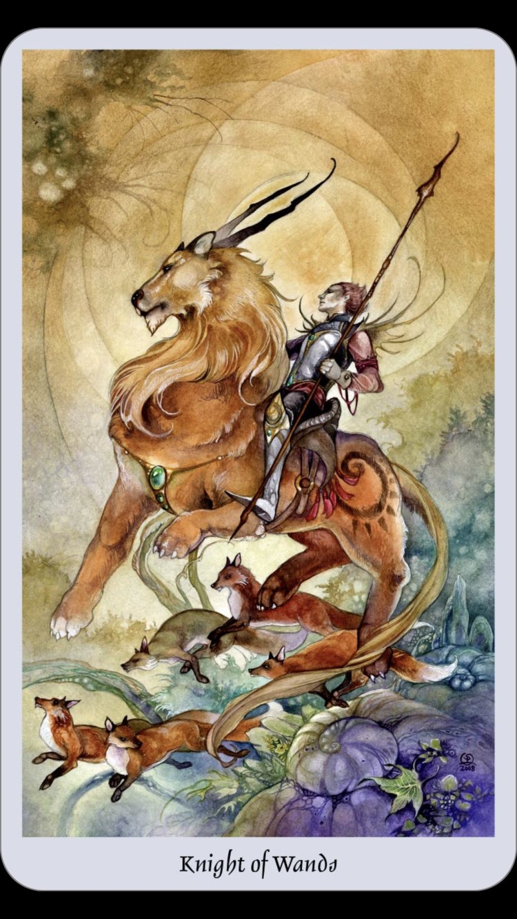 Kết quả hình ảnh cho Knight of Wands