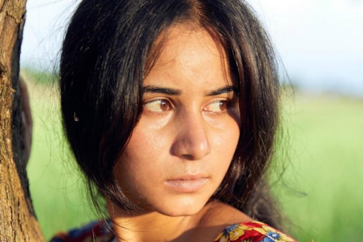 When a Bulbul Sings by Hawaa Ayoub
