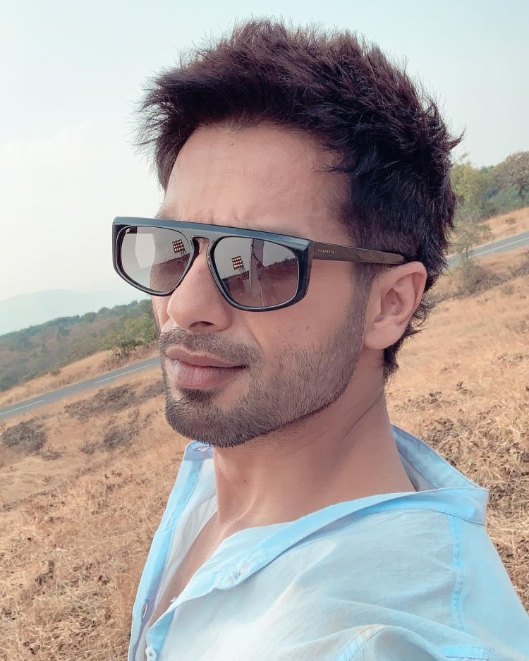 4 Shocking Controversies Of Kabir Singhs Star Shah