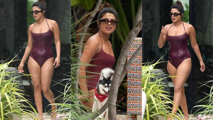 Priyanka Chopra Looks Uber Hot In This Violet Swim