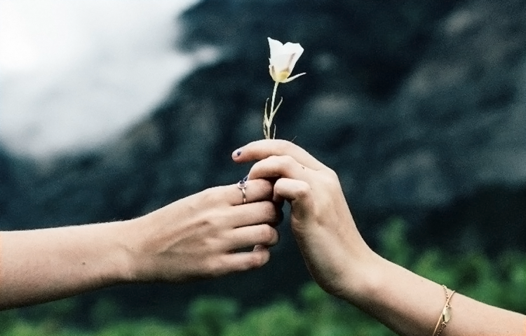 Surprising Zodiac Facts 11