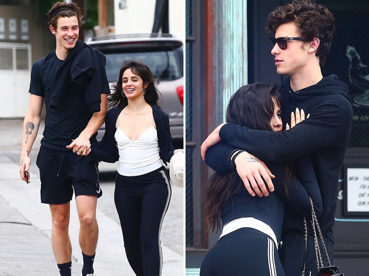 Shawn Mendes and Camila Cabello