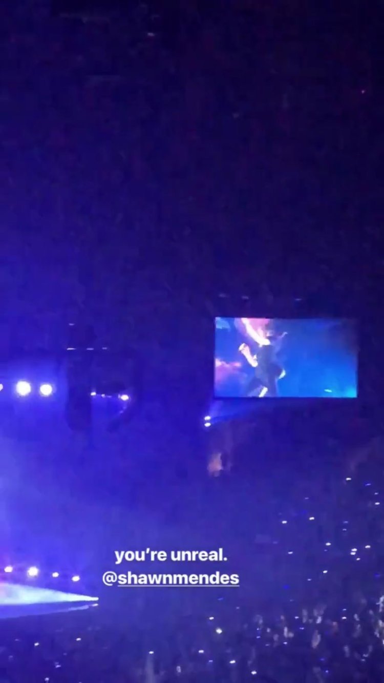 A Detailed Timeline Of Shawn Mendes And Camila Cab