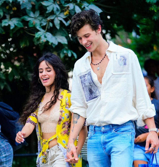 Shawn Mendes And Camila