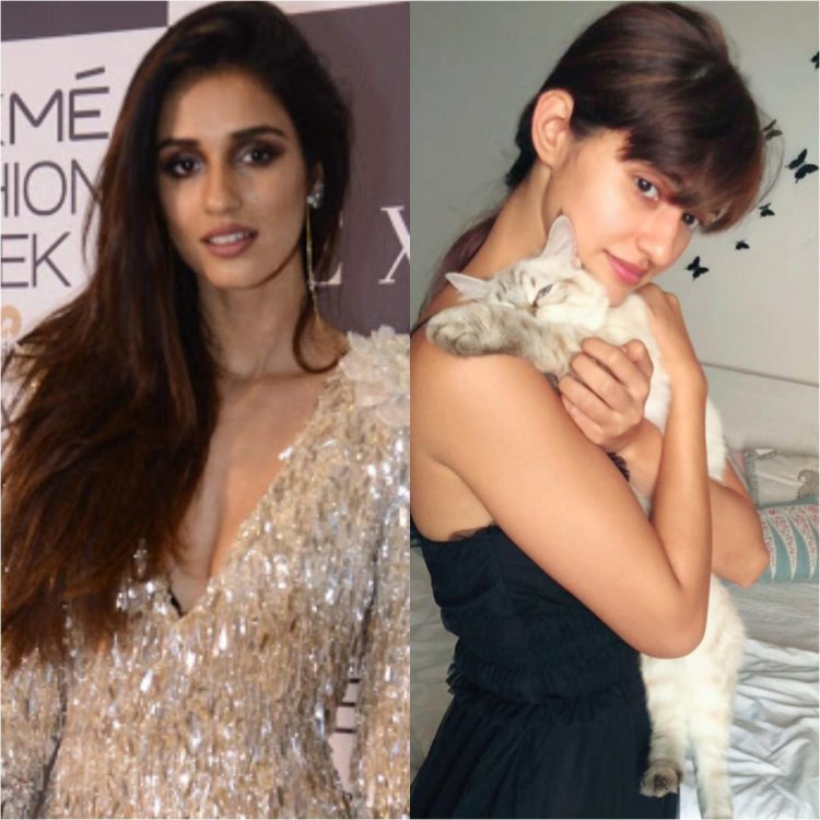 Bollywood Actresses Sans Makeup 7