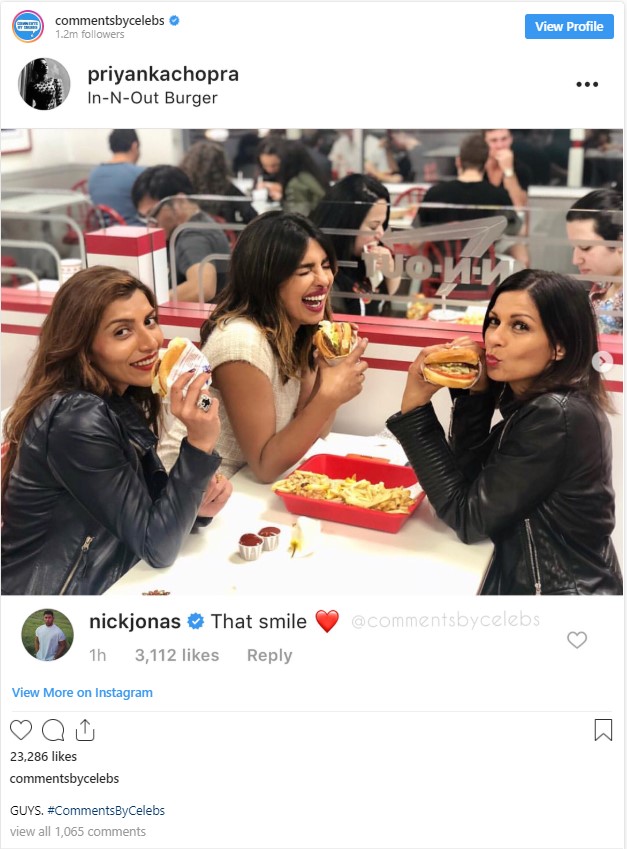Nick Commented On Priyanka Posts