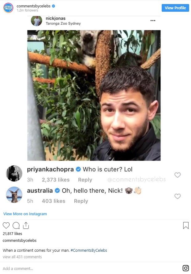 Priyanka Comments On Nick Post