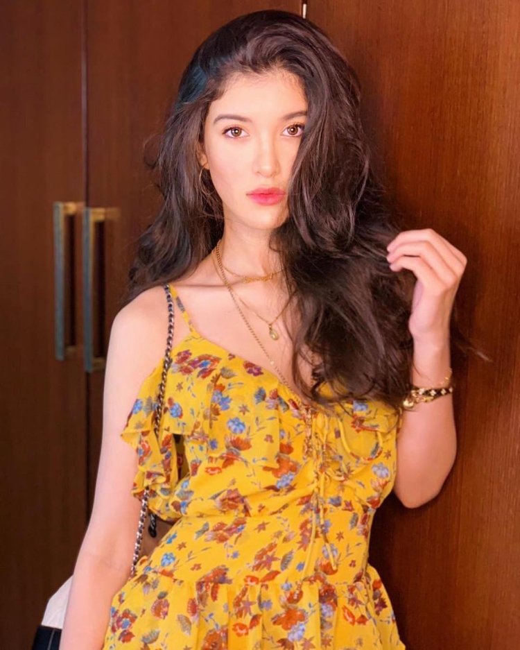 Celebrity Kids Who Will Join The Film Industry Soo