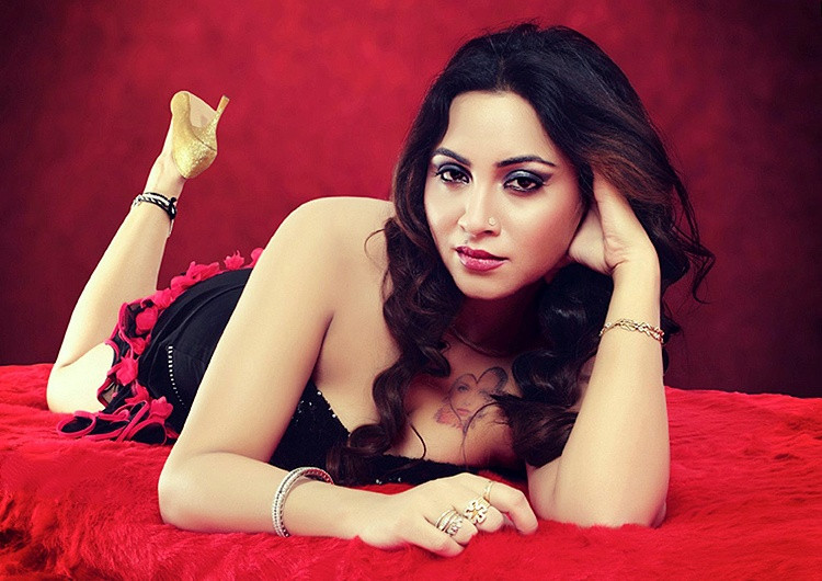 Bigg Boss 11 Lesser Known Facts About Hot Siren Ar