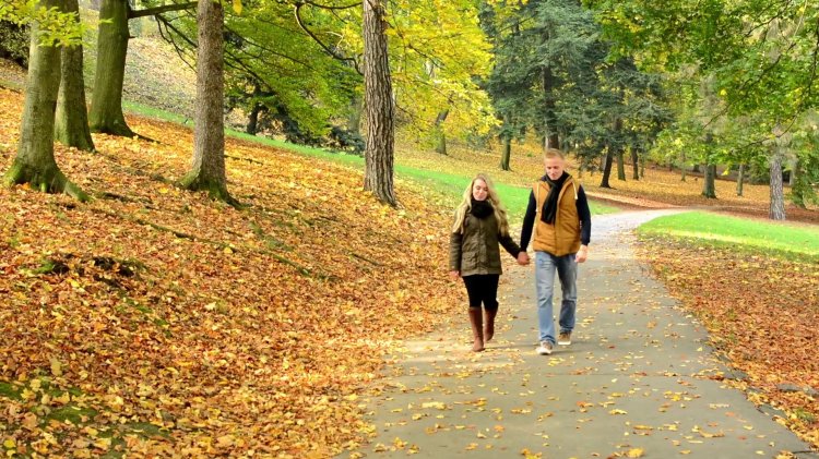Couple Walking In Park Couple Holding Hands Young