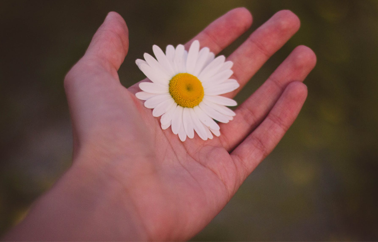 Toxic Relationship 6