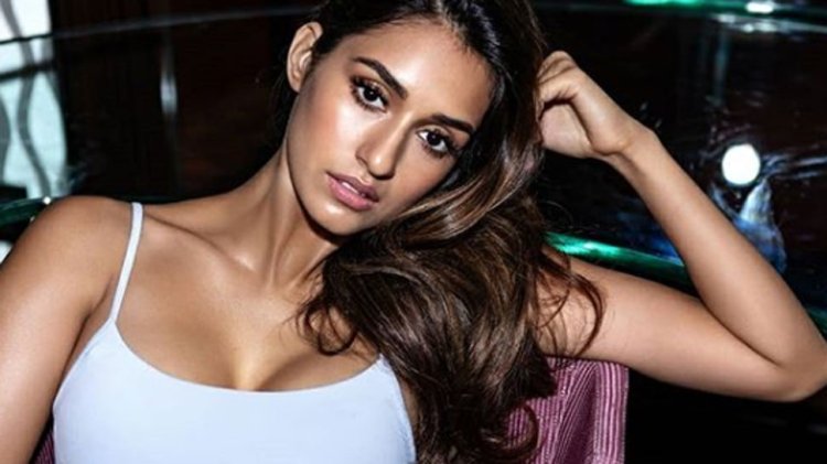 809079 Disha Patani Ck