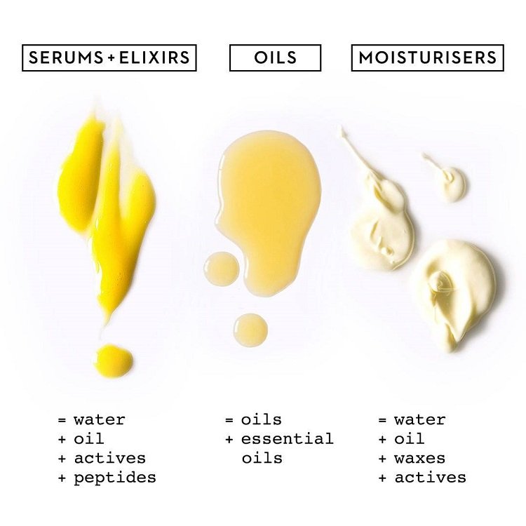 Serums Vs Moisturizers A14a