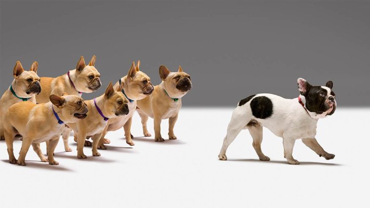 Stop worrying about what other people think about you, extroverts!