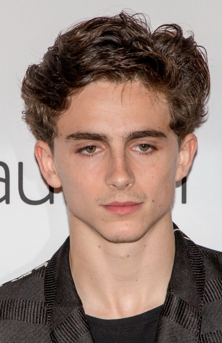 Timothee Chalamet 3