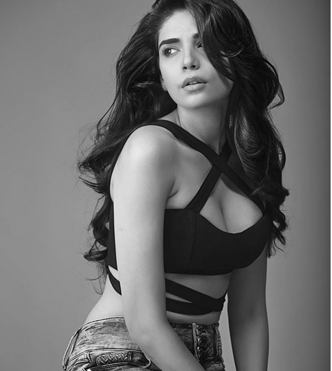 Anjum Fakih Hot Pics