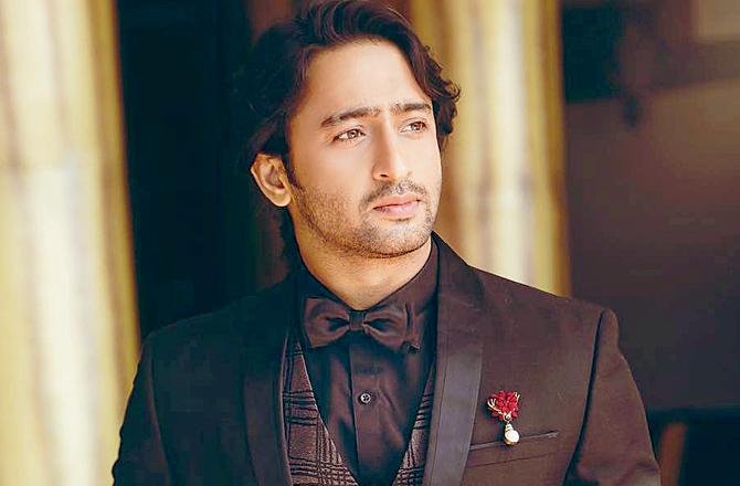 Shaheer Shaikh D
