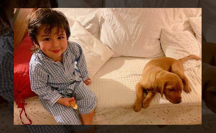 Taimur Ali Khans Pic With A Cute Puppy Is The Cute