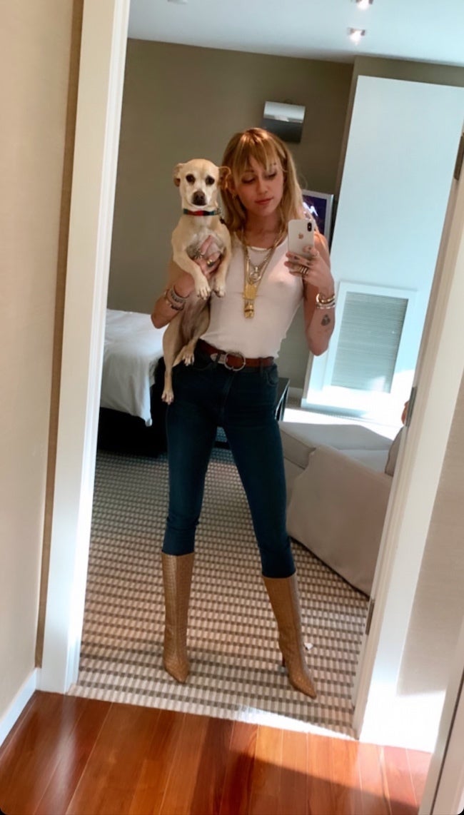 miley cyrus with her dog