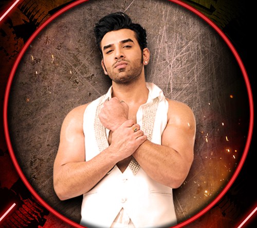 Paras Chhabra Bigg Boss 13 Contestant