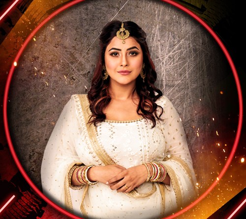 Shehnaz Gill Bigg Boss 13 Contestant