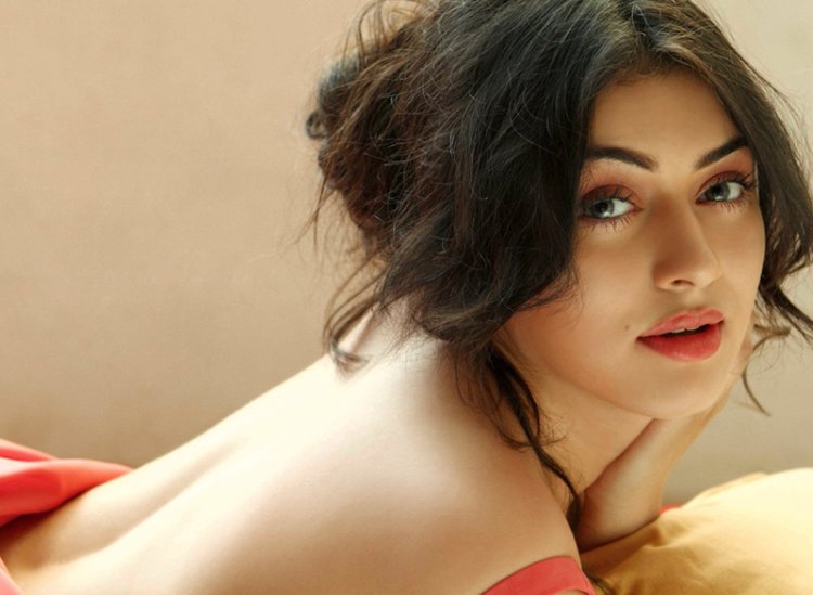 Hansika Motwani Hot Pic