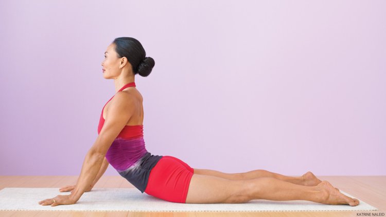 Cobra Pose Bhujangasana 8563