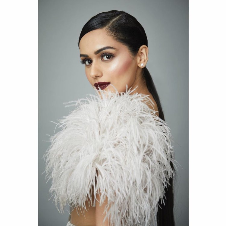 Manushi Chhillar